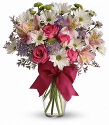 Pretty Please Cottage Florist Lakeland Fl 33813 Premium Flowers lakeland